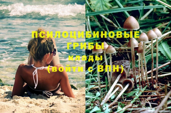 тгк Грязовец