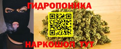 тгк Гай