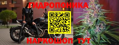 эйфоретик Гагарин