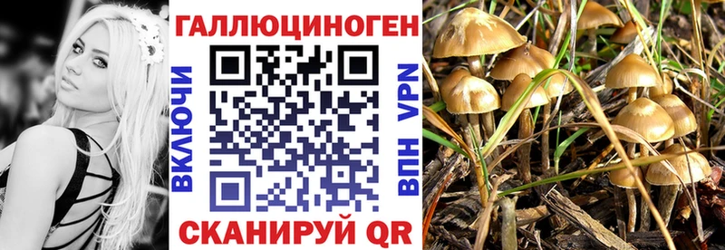 Галлюциногенные грибы ЛСД Кудымкар