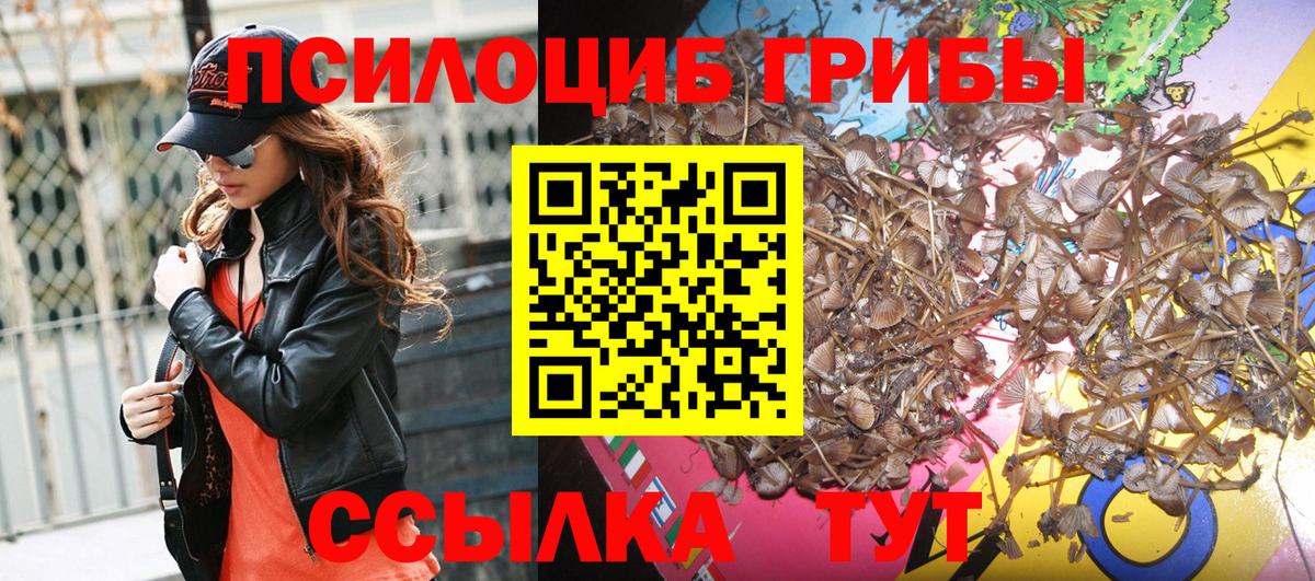 Кудымкар  Галлюциногенные грибы мухоморы  Вход с VPN 