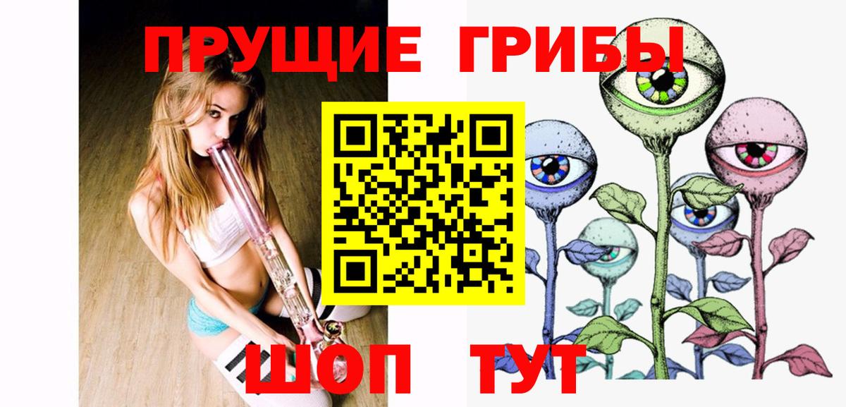 Псилоцибиновые грибы Psilocybine cubensis Кудымкар