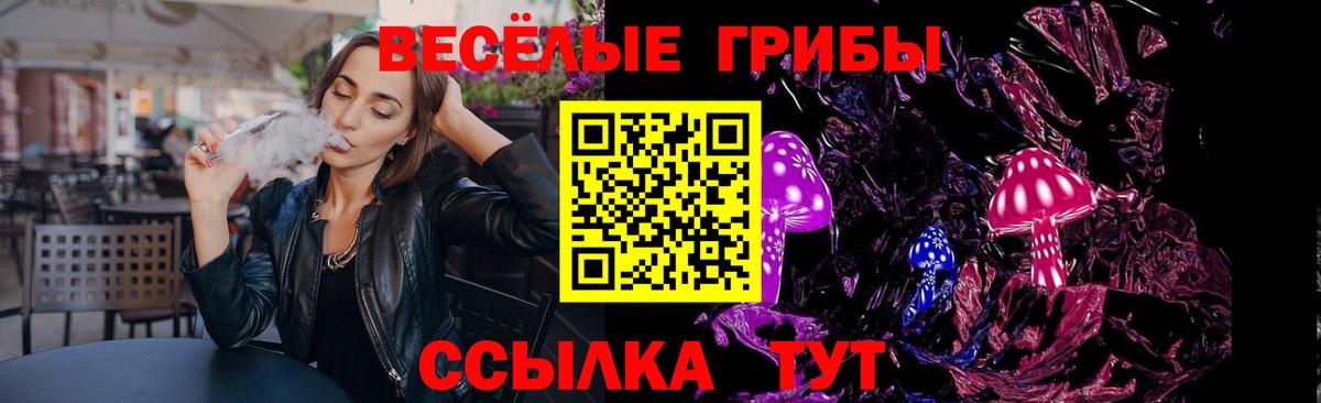 купить наркотики цена  Кудымкар  Псилоцибиновые грибы Psilocybe  Галлюциногенные грибы ЛСД 